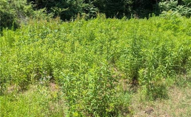 4172 West Drive, Northampton County, VA 23310