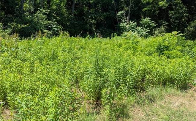 4172 West Drive, Northampton County, VA 23310