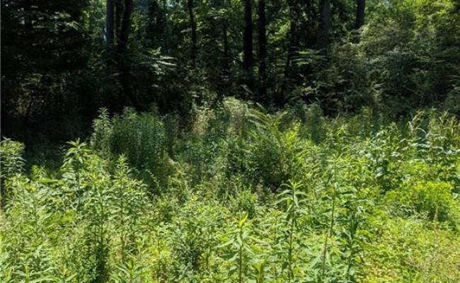 4172 West Drive, Northampton County, VA 23310