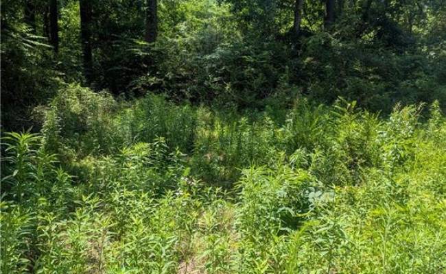 4172 West Drive, Northampton County, VA 23310