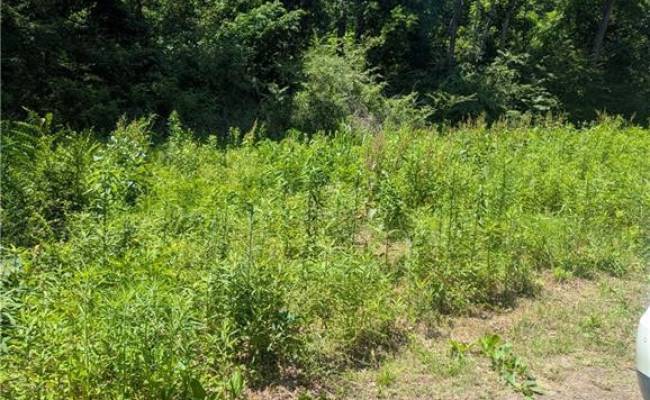 4172 West Drive, Northampton County, VA 23310