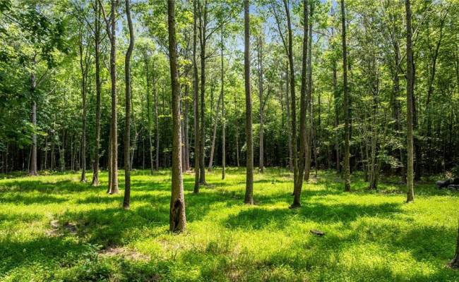 34AC Windsor Road, Mathews County, VA 23050