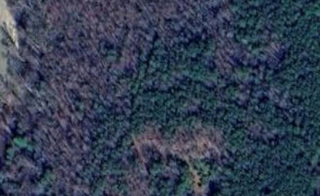 280 VESSELLS Lane, King William County, VA 23009
