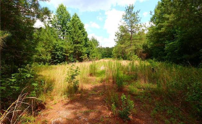 6950 Gates Road, Suffolk, VA 23437