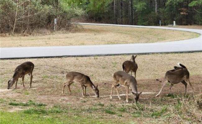 120 Colleton Circle, Chowan County, NC 27932