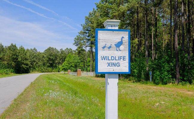 120 Colleton Circle, Chowan County, NC 27932
