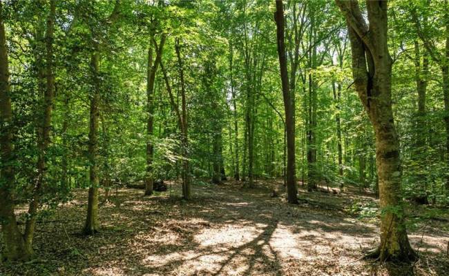 19 AC Hilltop Lane, Isle of Wight County, VA 23430