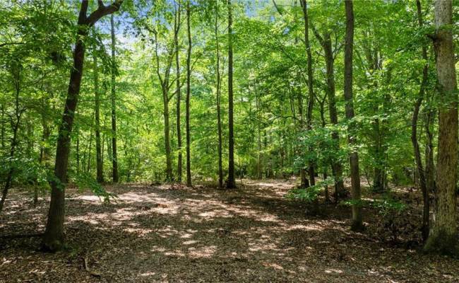 19 AC Hilltop Lane, Isle of Wight County, VA 23430
