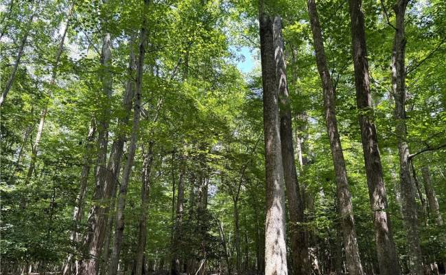 19 AC Hilltop Lane, Isle of Wight County, VA 23430