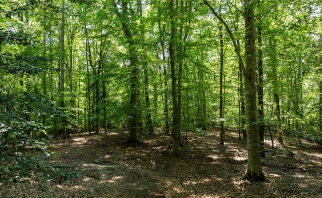 19 AC Hilltop Lane, Isle of Wight County, VA 23430