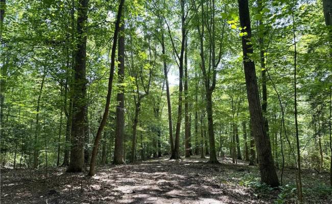19 AC Hilltop Lane, Isle of Wight County, VA 23430