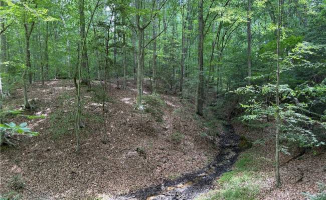 19 AC Hilltop Lane, Isle of Wight County, VA 23430