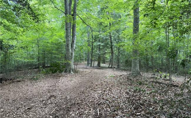19 AC Hilltop Lane, Isle of Wight County, VA 23430