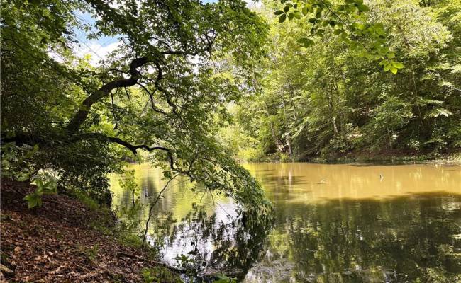 19 AC Hilltop Lane, Isle of Wight County, VA 23430