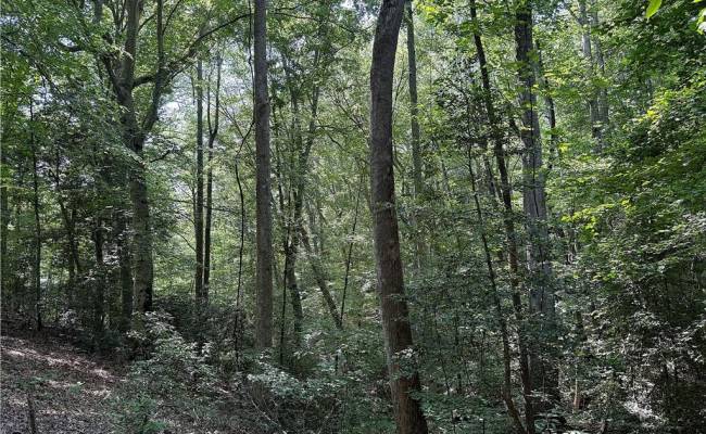 19 AC Hilltop Lane, Isle of Wight County, VA 23430