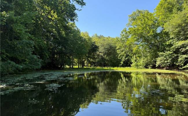 19 AC Hilltop Lane, Isle of Wight County, VA 23430
