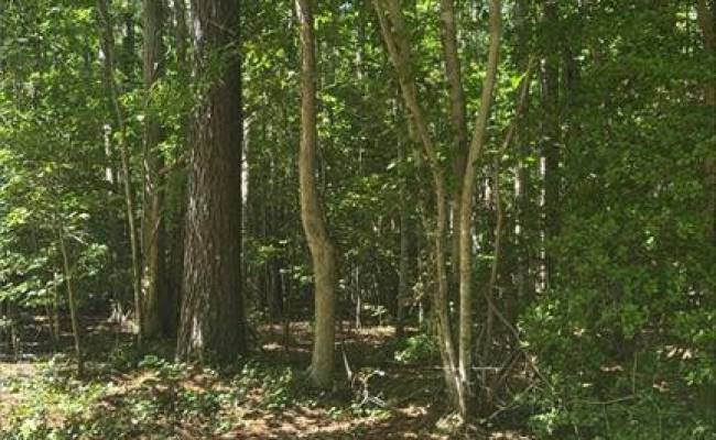 5.23AC New Hope Court, Gloucester County, VA 23061