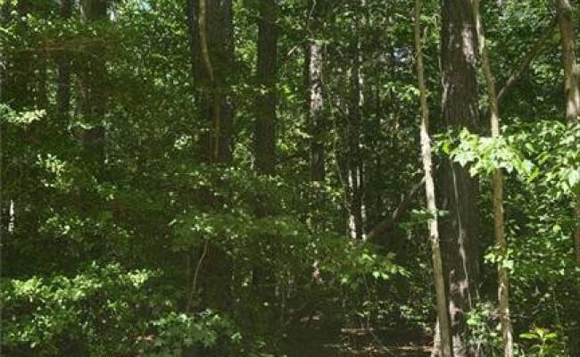 5.23AC New Hope Court, Gloucester County, VA 23061