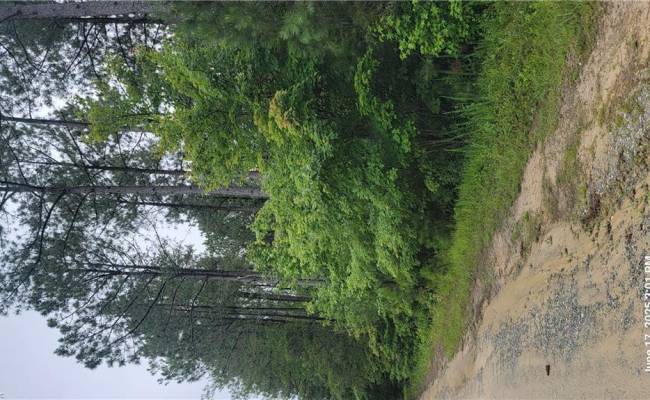 25+AC BUCHANAN Lane, Gloucester County, VA 23061