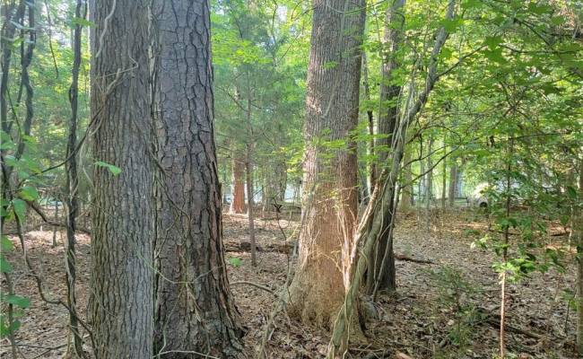 3989 River Landing Trail, Isle of Wight County, VA 23430