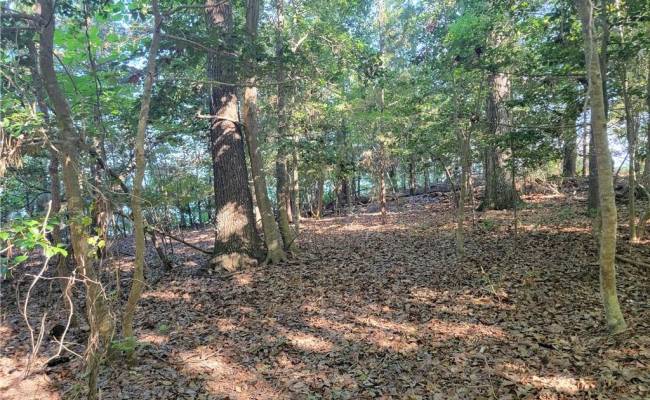 3989 River Landing Trail, Isle of Wight County, VA 23430