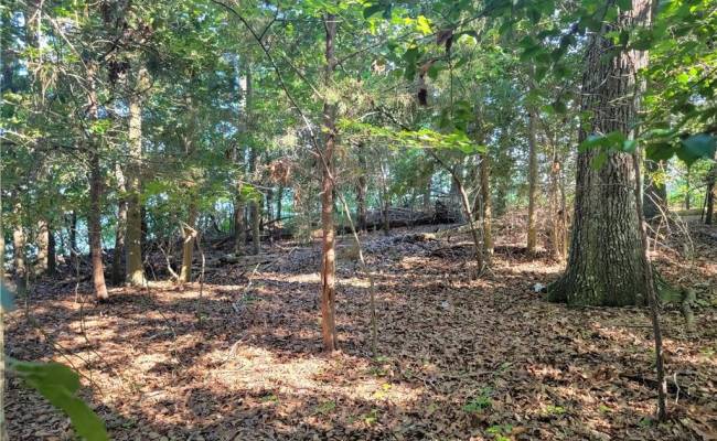 3989 River Landing Trail, Isle of Wight County, VA 23430