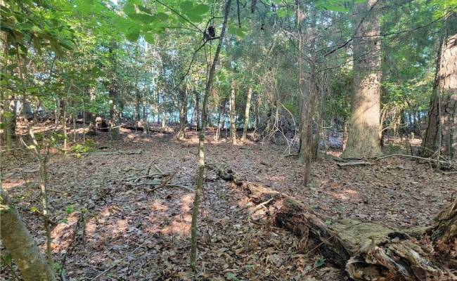 3989 River Landing Trail, Isle of Wight County, VA 23430
