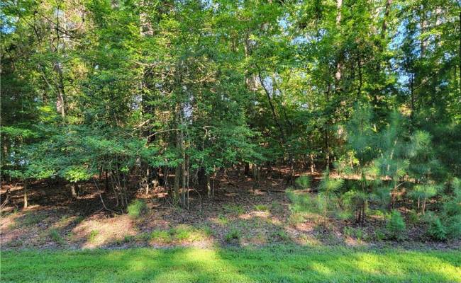 3989 River Landing Trail, Isle of Wight County, VA 23430