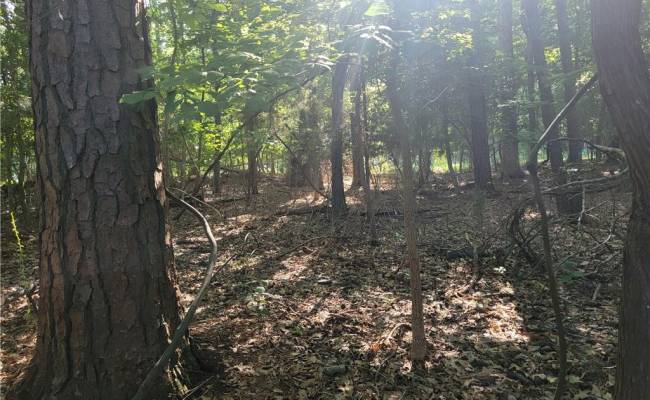 3989 River Landing Trail, Isle of Wight County, VA 23430
