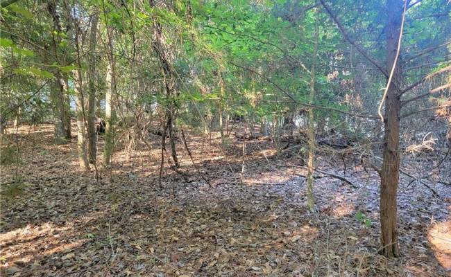 3989 River Landing Trail, Isle of Wight County, VA 23430