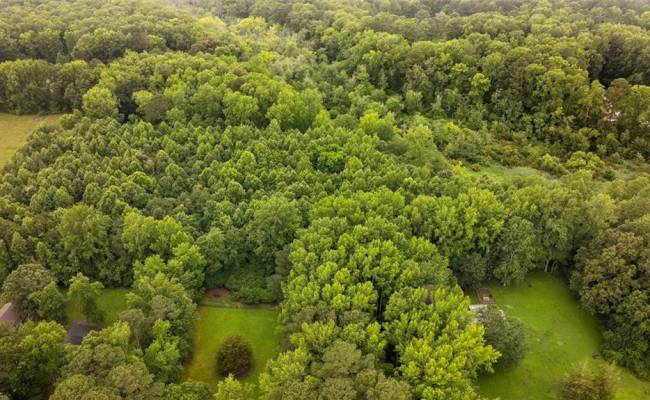 5AC Paynes Landing Road, Gloucester County, VA 23061