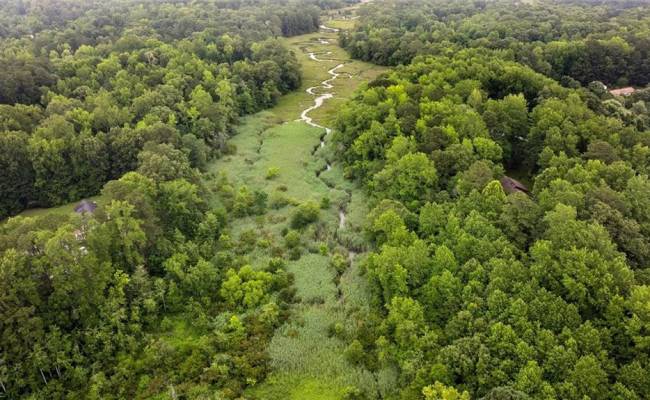 5AC Paynes Landing Road, Gloucester County, VA 23061