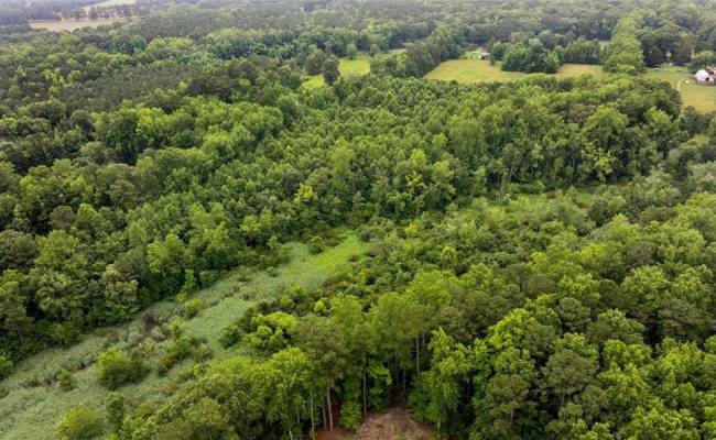 5AC Paynes Landing Road, Gloucester County, VA 23061