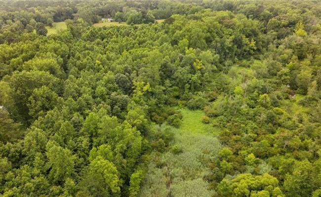 5AC Paynes Landing Road, Gloucester County, VA 23061