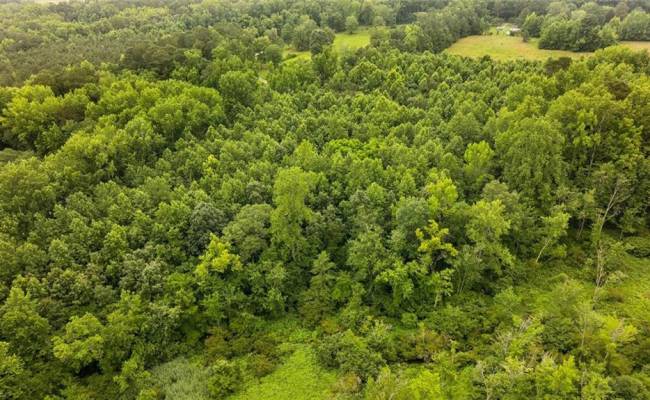 5AC Paynes Landing Road, Gloucester County, VA 23061
