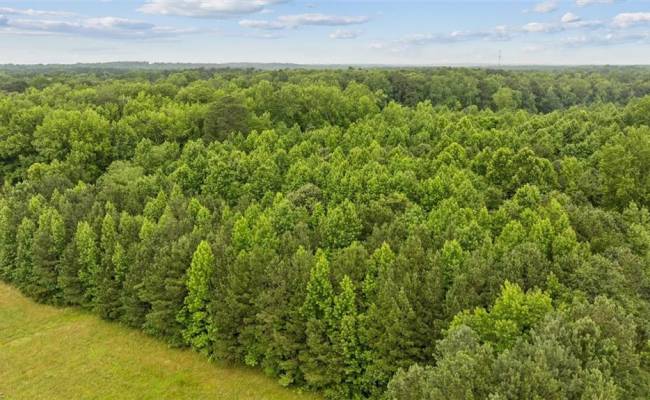 5AC Paynes Landing Road, Gloucester County, VA 23061