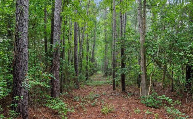 5AC Paynes Landing Road, Gloucester County, VA 23061