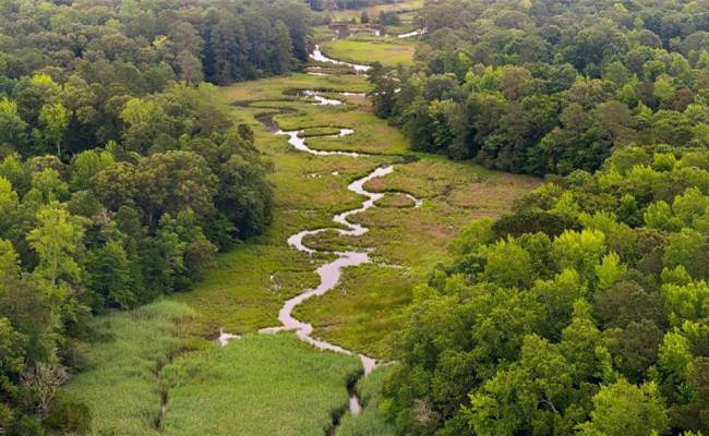5AC Paynes Landing Road, Gloucester County, VA 23061