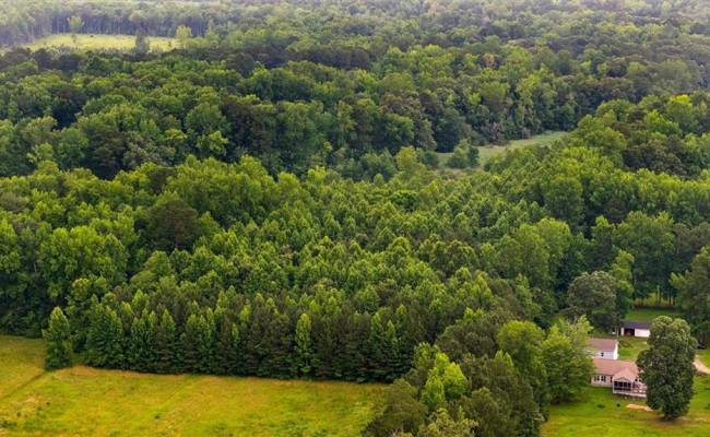 5AC Paynes Landing Road, Gloucester County, VA 23061