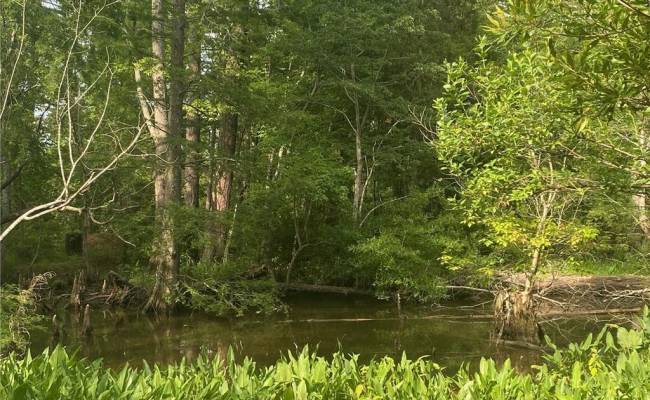 339 Neck O Land Road, James City County, VA 23185