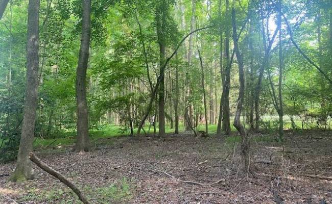 339 Neck O Land Road, James City County, VA 23185
