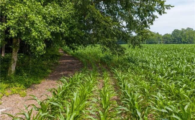 25+AC Woods Cross Road, Gloucester County, VA 23061