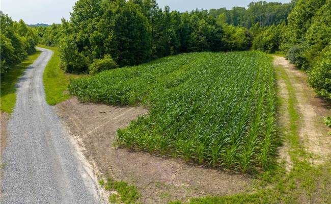 25+AC Woods Cross Road, Gloucester County, VA 23061