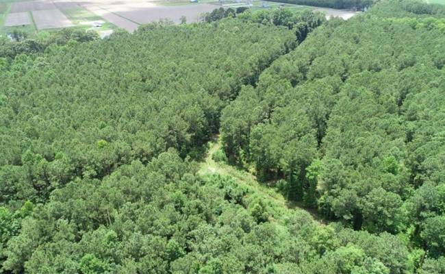 147 AC Blackwater Road, Virginia Beach, VA 23457