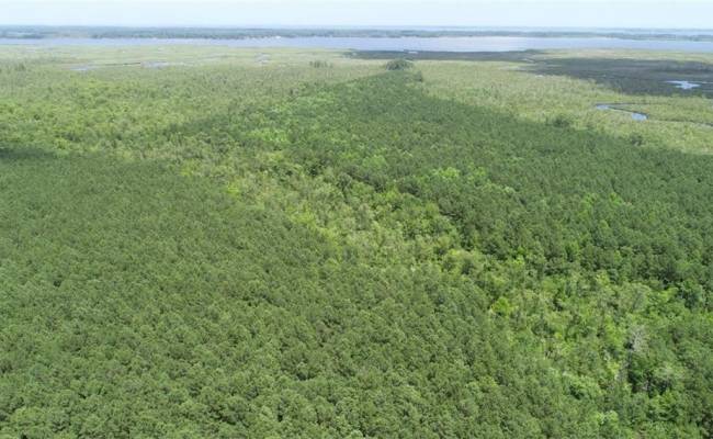 147 AC Blackwater Road, Virginia Beach, VA 23457