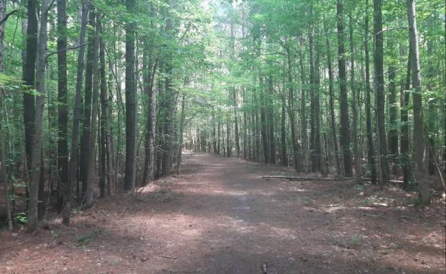 147 AC Blackwater Road, Virginia Beach, VA 23457