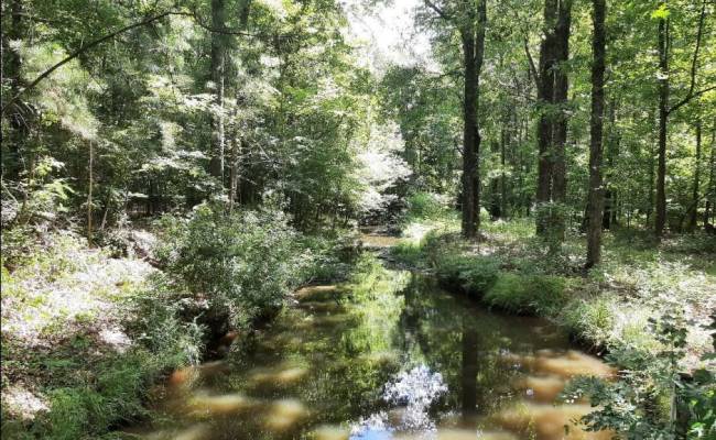 147 AC Blackwater Road, Virginia Beach, VA 23457