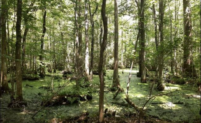 147 AC Blackwater Road, Virginia Beach, VA 23457