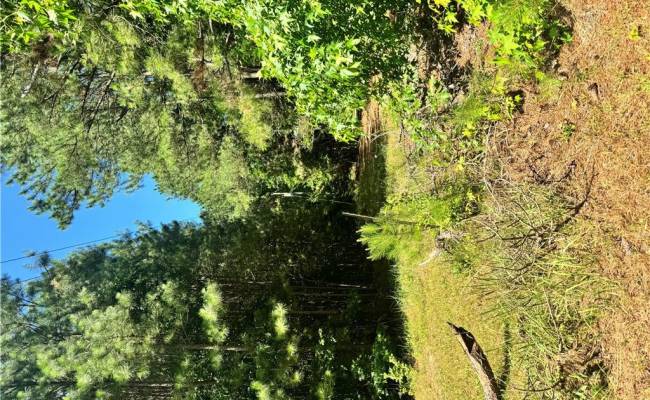 Parcel 109C-4-5,6,7,8 &9 , Accomack County, VA 23420