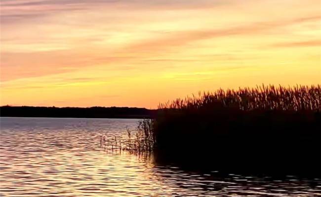 3665 Sandpiper Road, Virginia Beach, VA 23456